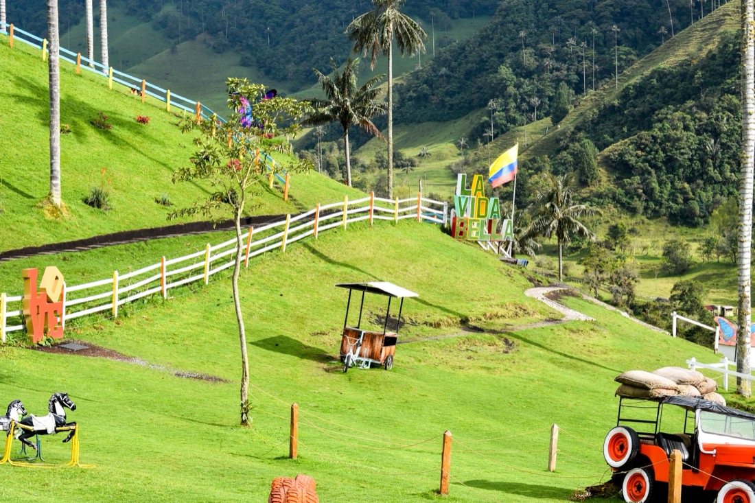 mirador del Valle de Cocora con palmas de cera de fondo