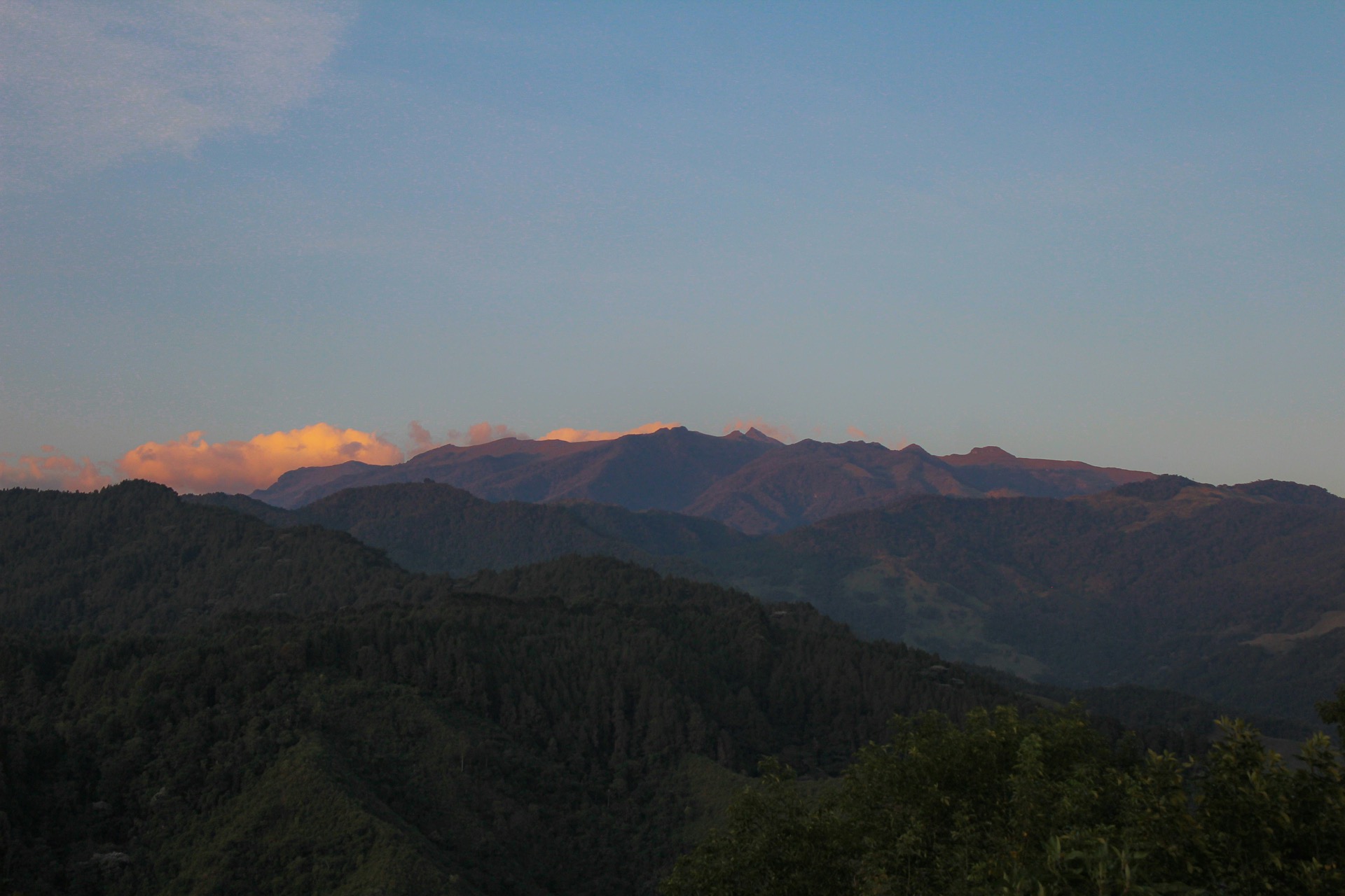 tour al Eje Cafetero, Valle de Cocora y Salento