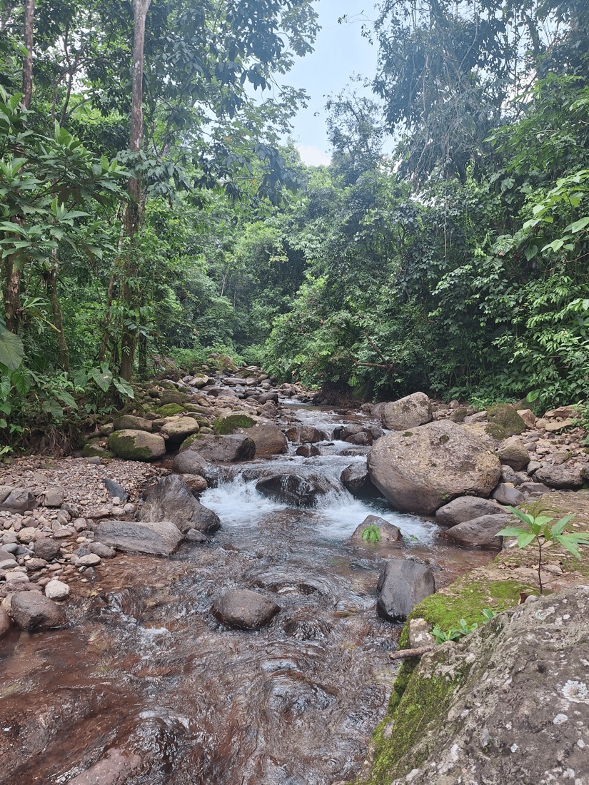 los llanos colombia